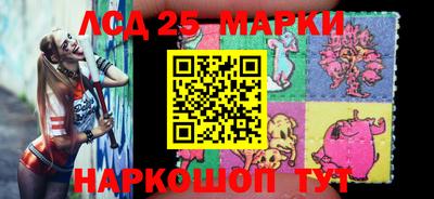 молекула духа Камышлов
