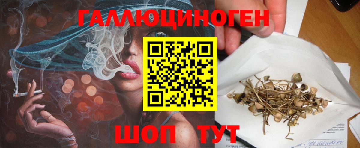 Комсомольск-на-Амуре  Псилоцибиновые грибы Psilocybine cubensis  Вход с VPN 
